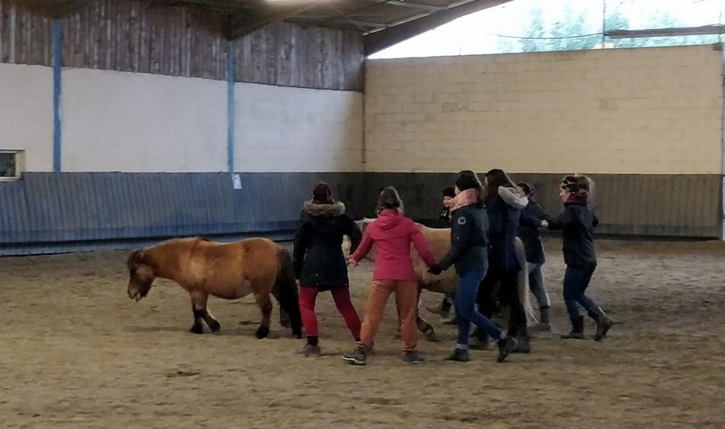 cohésion de groupe à travers des exercices à expérimenter avec le cheval