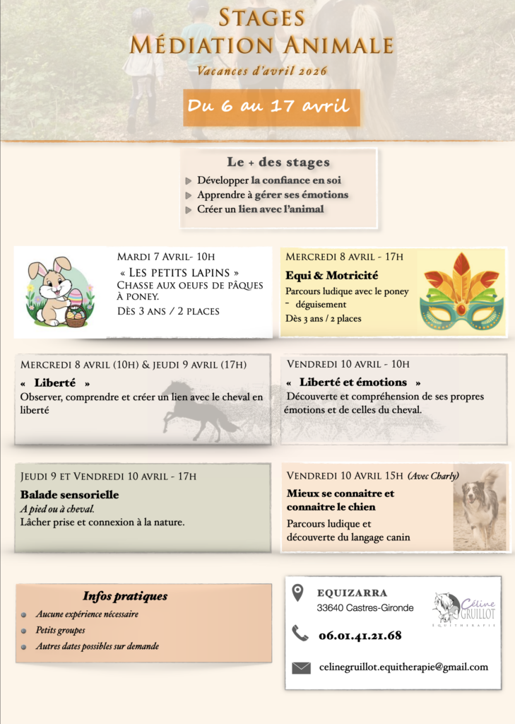 mediation equine mediation canine 
stages