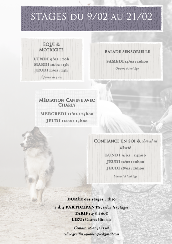 médiation animale équithérapie stages vacances