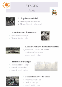 stage aout équithérapie médiation canine gironde