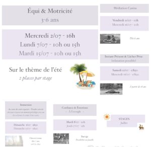 stages été équithérapie médiation canine