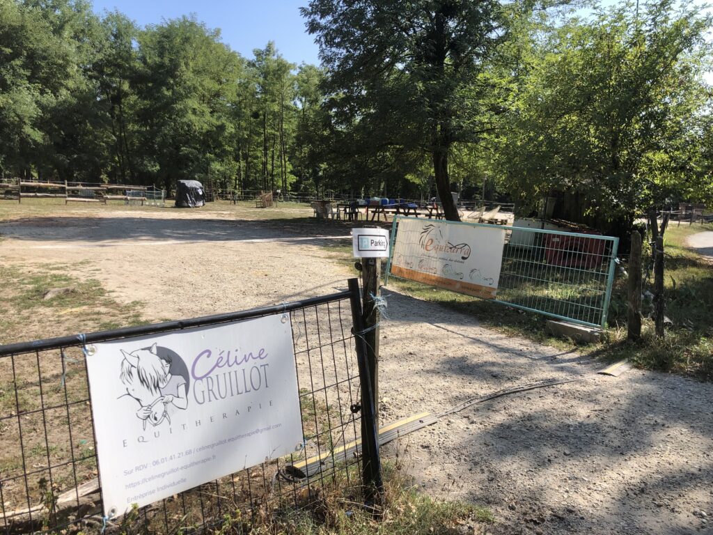 equitherapie à Equizarra école d'équitation
ethologie