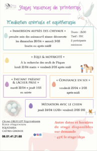 stages équithérapie médiation animale chien
