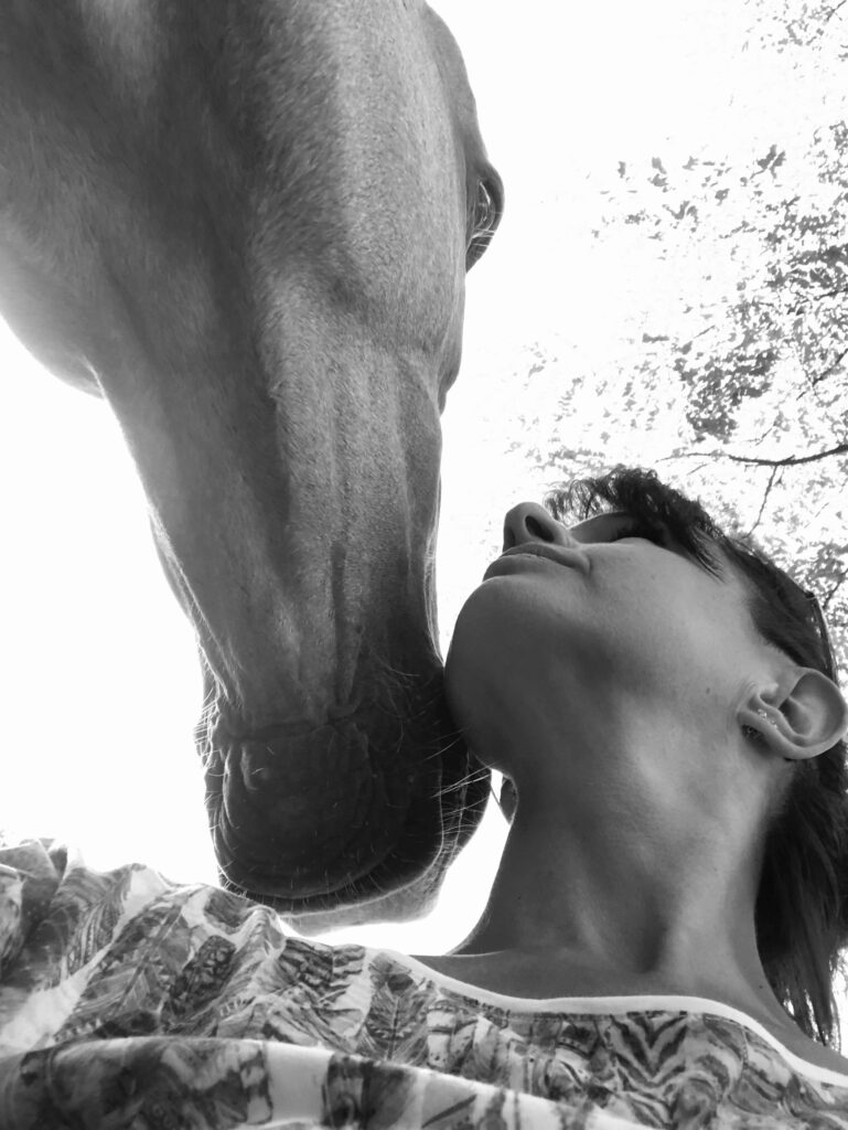 galerie photos équithérapeute aquitaine gironde 33 bordeaux
équithérapie thérapie avec le cheval