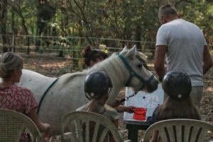 guidance parentale, equithérapie enfant adolescents famille handicap
