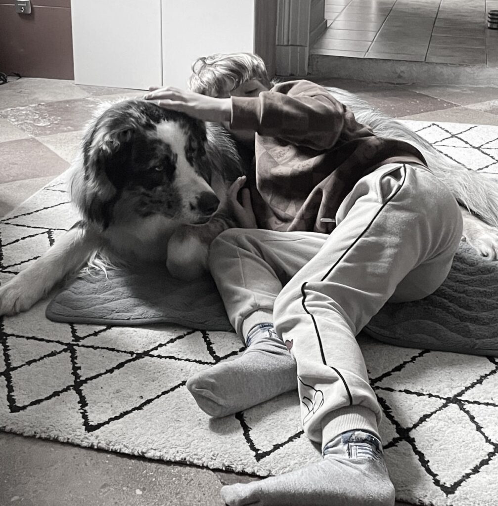 médiation animale bordeaux aquitaine thérapie avec le chien