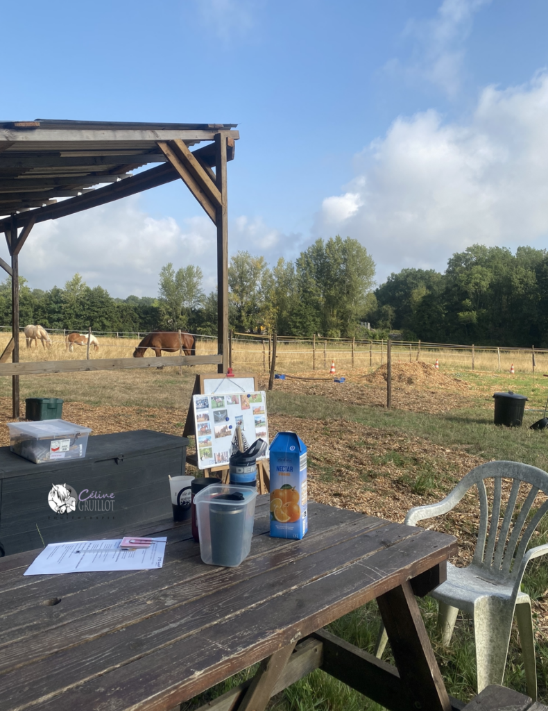équithérapie bordeaux La Brède 33650, médiation animale