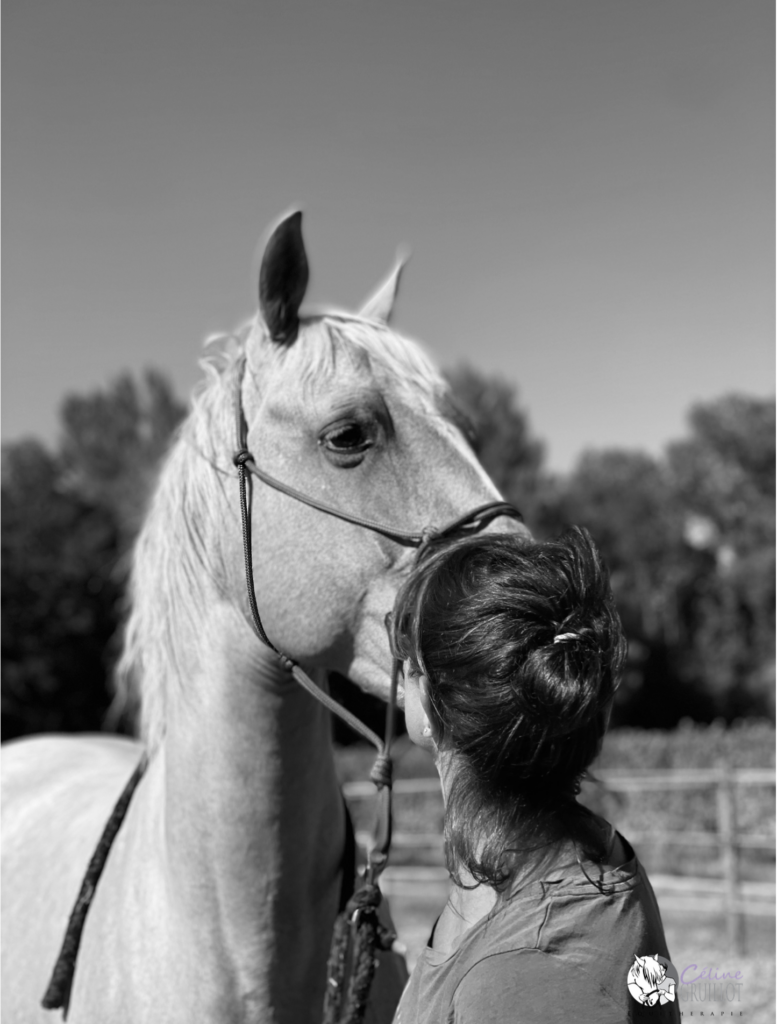 équitherapie
bordeaux, 33650 La Brède
sur gironde
thérapie 
médiation animale
Céline gruillot équithérapie