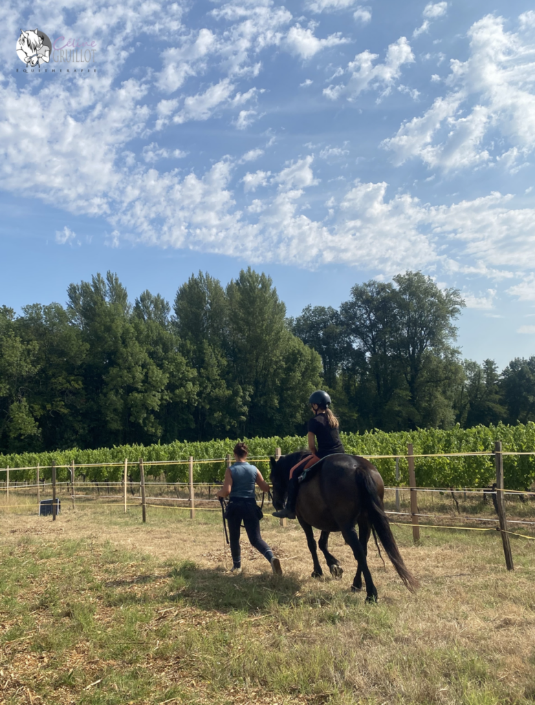 équitherapie
bordeaux, 33650 La Brède
sur gironde
thérapie 
médiation animale